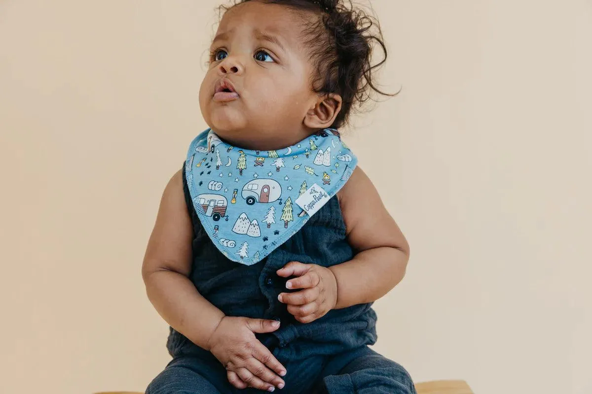 Baby Bandana Bibs - Bridger