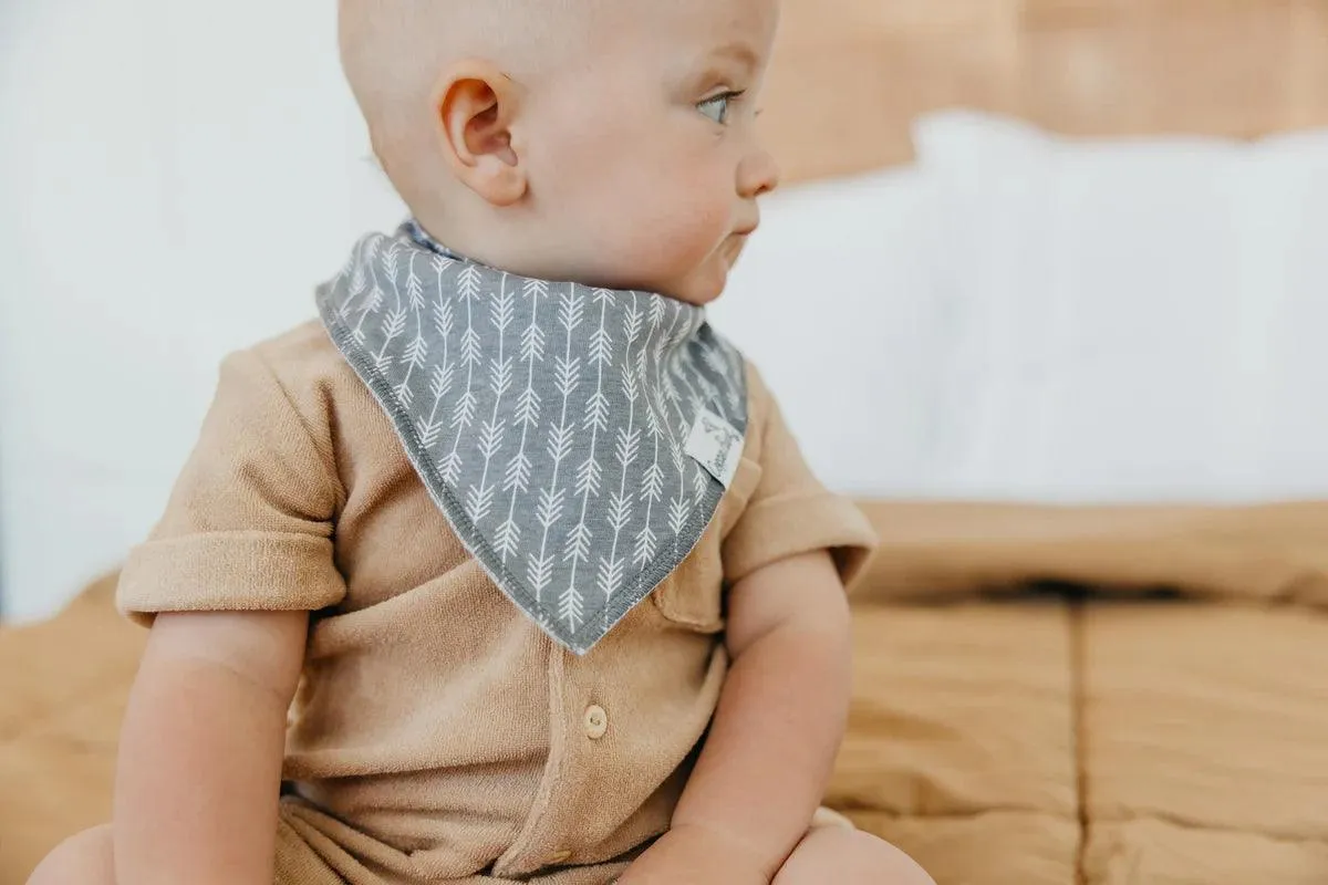 Baby Bandana Bibs - Bridger